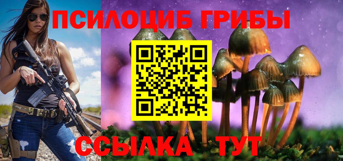 Псилоцибиновые грибы ЛСД Дивногорск