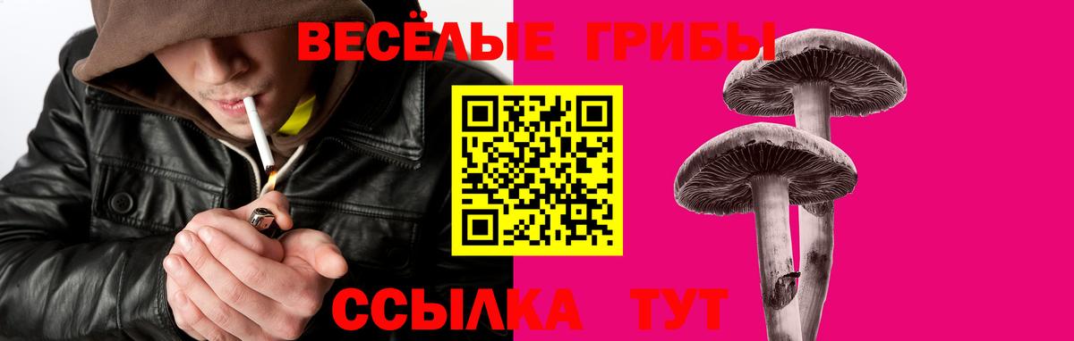 Дивногорск  Галлюциногенные грибы ЛСД  Галлюциногенные грибы прущие грибы  Вход с VPN 
